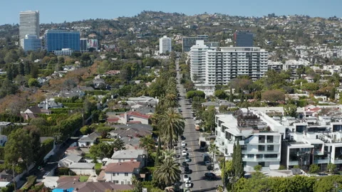 Aerial pullback of palm trees, carx, affluent neighborhood of Beverly Hills Stock Footage 272701017