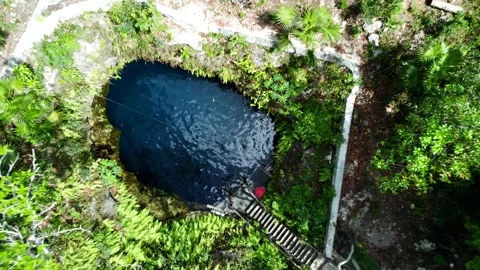 Aerial pullback reveals a dark cenote surrounded by dense jungle Stock Footage 341394663