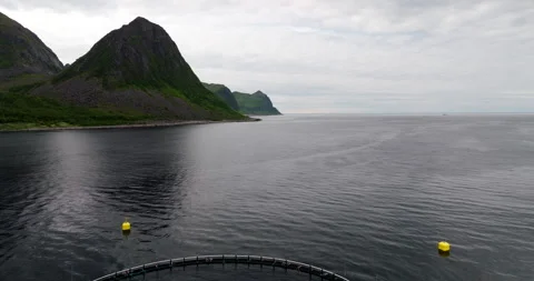 Aerial pullback reveals round marine pens of salmon farm in Norwegian fjord 스톡 동영상 318391966