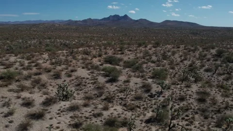 Aerial pullback of a rugged desert with Joshua Trees Video stock 255620437