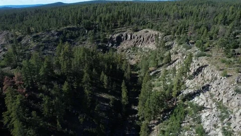 Aerial pullback of a rugged valley in the forest Stock Footage 217947960