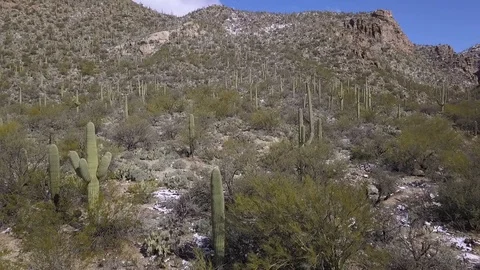 Aerial pullback of Saguaro cactus in a rugged desert valley Stock Footage 103626693