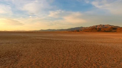 Aerial pullback of a scrubby bush in a harsh desert environment Vídeos de archivo 81659652