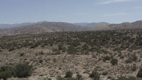 Aerial pullback shot of a barren desert land with some small shrubs. Stock Footage 95934478