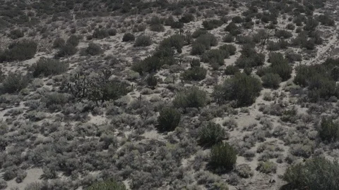 Aerial pullback shot of a barren desert land with some small shrubs. Stock Footage 95935148