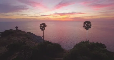 Aerial Pullback Shot Between Palm Trees On Promthep Cape At Sunset, Phuket, Stock Footage 80274969