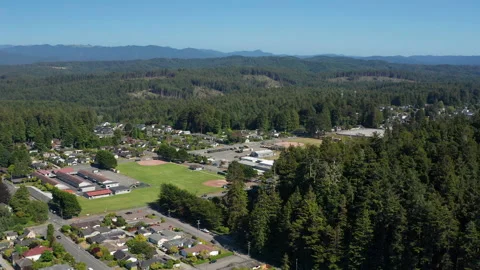 Aerial pullback shot of Eureka California with coastal  redwood trees and forest Stock Footage 200574940