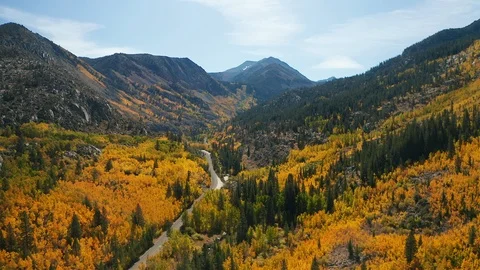 Aerial pullback shot of fall colors in Eastern Sierra mountain range California Stock Footage 122864255