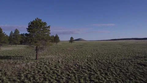 Aerial pullback of a vast prairie with pine trees and an extinct volcano Stock Footage 242937056