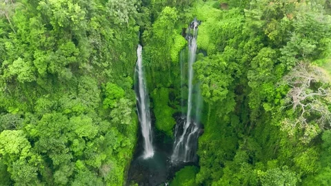 Aerial pullback from waterfall in tropical forest Bali Stock Footage 321446751