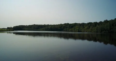 Aerial pulling away from water into trees Video stock 54709682