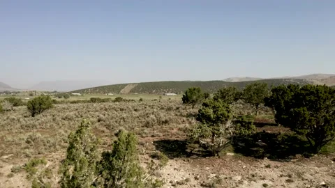 Aerial-Pulling back-High desert valley through juniper trees Stock Footage 160439389