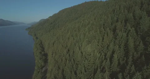 Aerial pulling back from lush green pine forest trees on Loch Ness in Scotland 스톡 동영상 112003664
