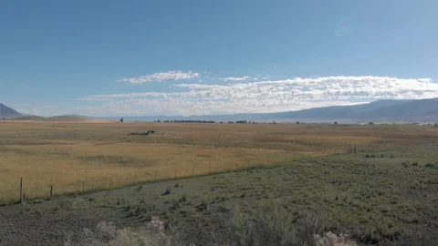 Aerial-Pulling back over brush lined stream in rural mountain valley Video stock 112361186