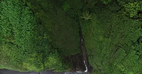 Aerial pulls back and out from overhead of Wavin Cyrique waterfall in Dominica Vídeos de archivo 70358952