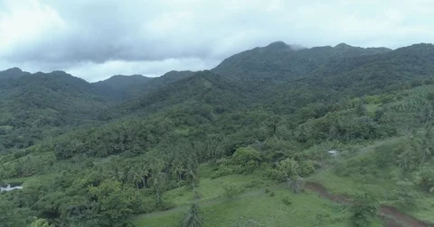Aerial pulls back from green valley to reveal line of palm trees by the coast Видео 78240009