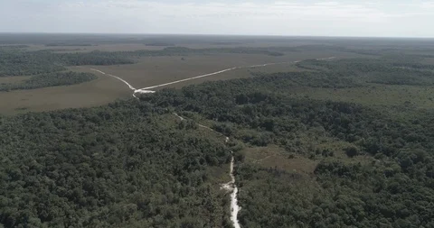 Aerial pulls back over lush green savannah in Inirida, Guainia 스톡 동영상 100615369