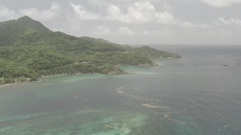 Aerial pulls back over the water and coastline by Speyside, Tobago Stock Footage 340857191