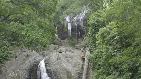 Aerial pulls back from upper levels to reveal Argyle Falls in Tobago Stock Footage 340852977