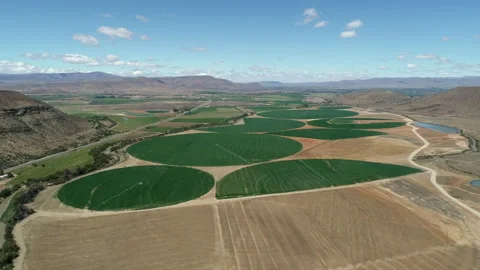 Aerial pulls out from circular irrigated crop fields in arid landscape Stock Footage 333630986