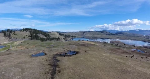 Aerial push across cattle ranch in beautiful rural setting Stock Footage 88454749