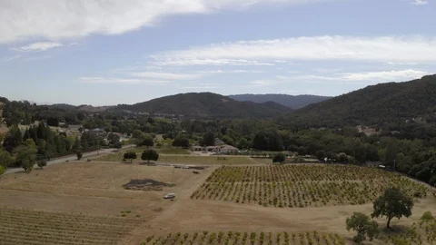 Aerial Push In Forested Hillside Over Vineyards  Stock Footage 127065988