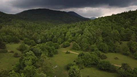 Aerial push forward over beech forest in Italy’s Simbruini Mountains Stock-Footage 307296236