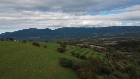 Aerial push in of olive groves and vast meadows in mountainous landscape Video stock 337458573