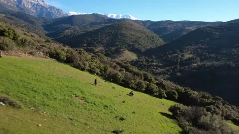 Aerial push out shot of steep mountain slope with hikers and fields Video stock 337458285