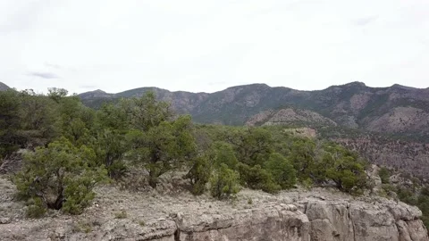 Aerial push over a climber on a large rock wall on a sunny day Stock Footage 219430664