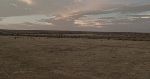 Aerial Push Over the Olerai Conservancy, in the Maasai mara, Kenya Stock Footage 151092166