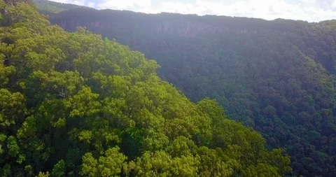 Aerial push shot of Springbrook National Park, Australia Stock Footage 112280437