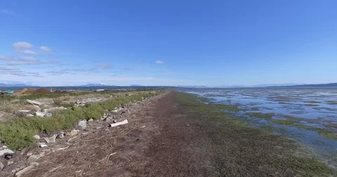 Aerial push on sunny tidal flat with mountains in b/g Stock Footage 86331684