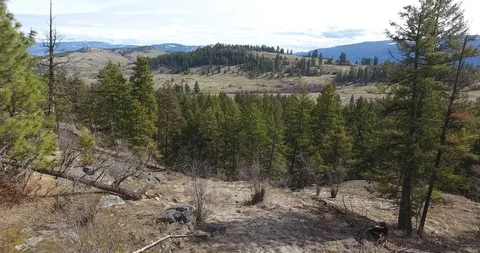 Aerial push through/over trees towards small valley and hillock Stock Footage 88455070