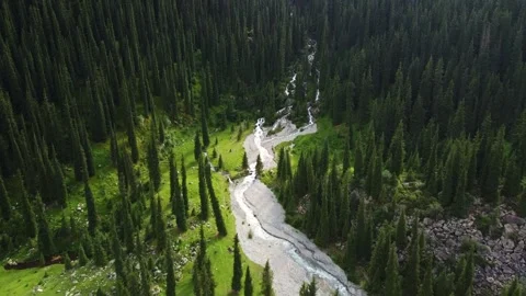 Aerial Push In Toward Cascading Mountain River in Lush Green Forest - Static End Video stock 330961315