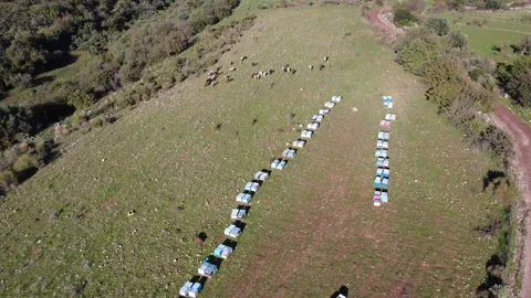 Aerial push in view along rural dirt road with beehives and sheep grazing Stock Footage 337459592