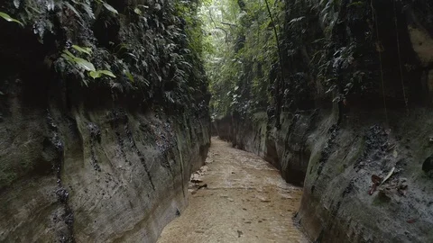Aerial pushes down the main canyon of the Las Dalias nature reserve in Colombia Stock Footage 104758517