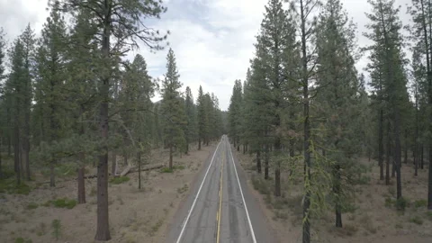 Aerial pushes over highway through the trees by Lassen Volcanic National Park Stock Footage 324524552