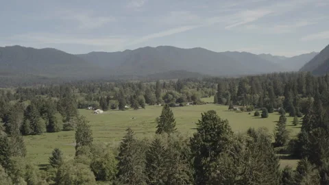 Aerial pushes over Trees to a Meadow in Lake Quinault, Washington Stock Footage 345171807