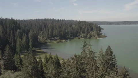 Aerial pushes over trees towards Lake Quinault Lodge and the shoreline Stock Footage 345171871