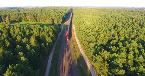 AERIAL railway: Long cargo train transporting wagons across the autumn forest -4 動画素材 80482320