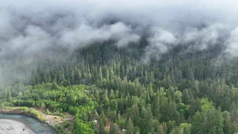 Aerial of Rain Clouds Drifting Through Hoh River Valley in Olympic National Park Stock Footage 247276522