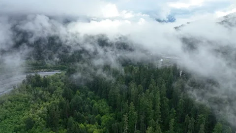 Aerial of Rain Clouds Over Temperate Rainforest and River in Olympic Peninsula Stock Footage 247230817