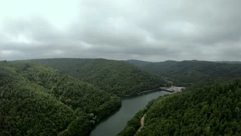 Aerial rain forest Stock Footage 219281452