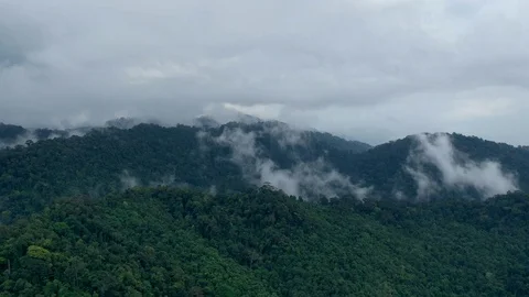 Aerial rainforest hyperlapse Stock Footage 119002292
