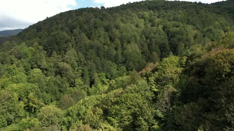 Aerial rainforest mountains Stock Footage 218008218
