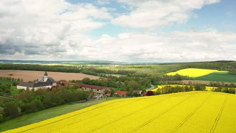 Aerial of rapefield Stock Footage 154452149