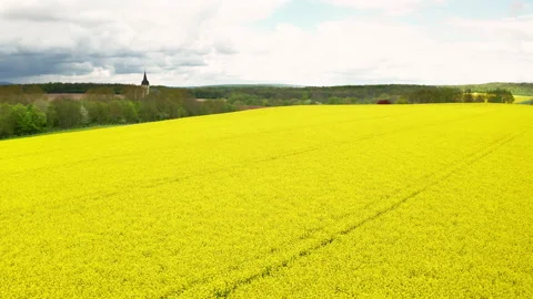 Aerial of rapefield Stock Footage 154457233