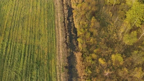 Aerial: reclamation ditch between field and forest Stock Footage 149088300