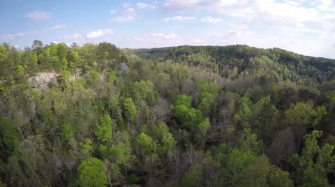 Aerial Red River Gorge / Daniel Boone National Forrest in Appalachian Mountains Stock Footage 64276654